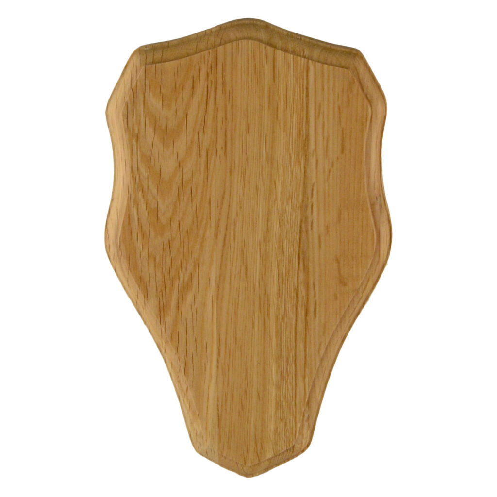 Rådjurssköld 23x14 cm - Ljus från Grey oak
