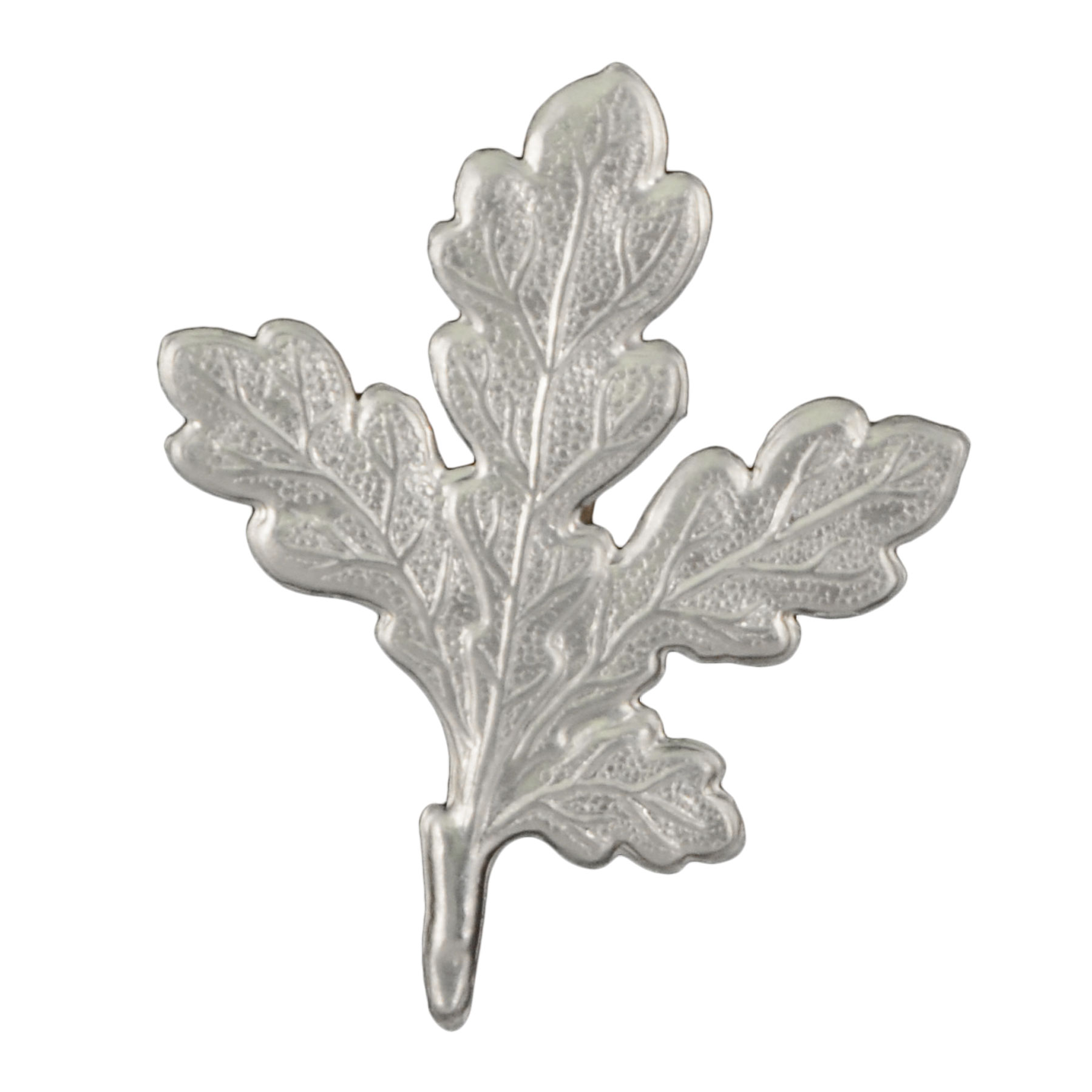 Eklöv för vildsvinstrofé från Grey oak